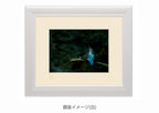 宝石の羽色・額装付｜写真家 Kankan