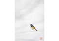 白銀に立つ 幸せの青い鳥・額装付｜写真家 Kankan