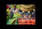 写真集 『伊勢神宮  誠極まる 大聖地』｜写真家 Kankan