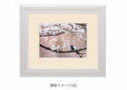 桜色に彩られた水面に・額装付｜写真家 Kankan