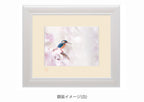 桜幻想・額装付｜写真家 Kankan