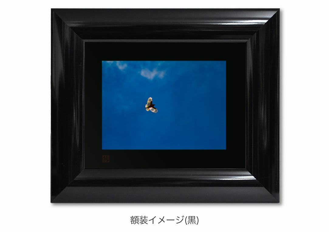奇跡の虹・額装付｜写真家 Kankan