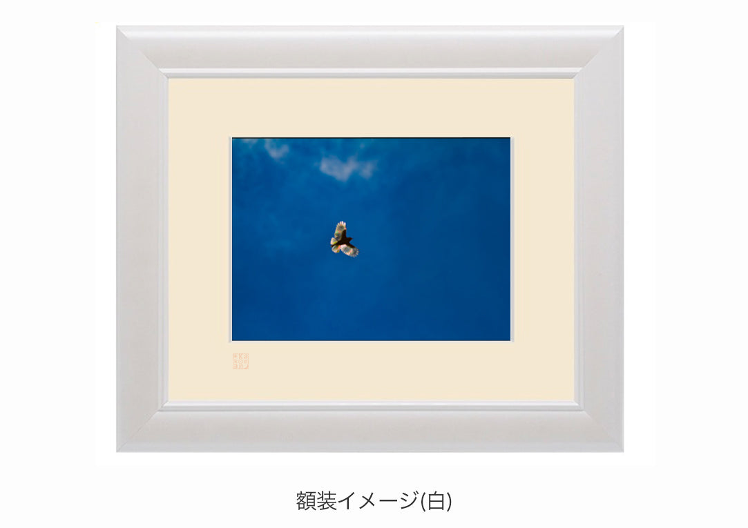 奇跡の虹・額装付｜写真家 Kankan