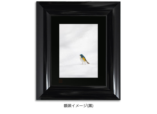 白銀に立つ 幸せの青い鳥・額装付｜写真家 Kankan