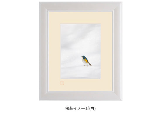 白銀に立つ 幸せの青い鳥・額装付｜写真家 Kankan