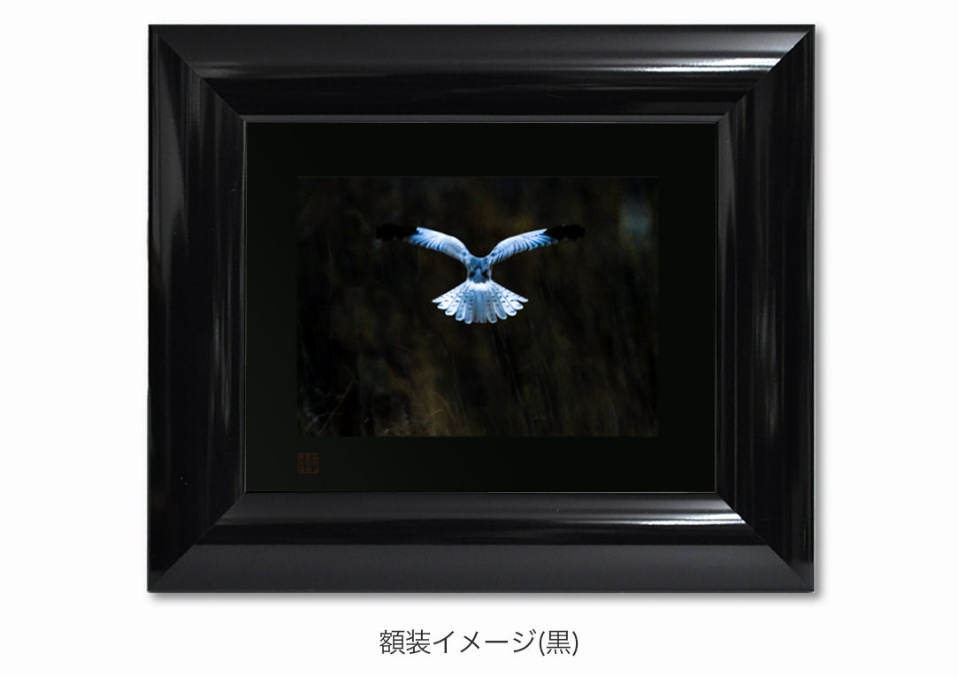 銀色の天使・額装付｜写真家 Kankan