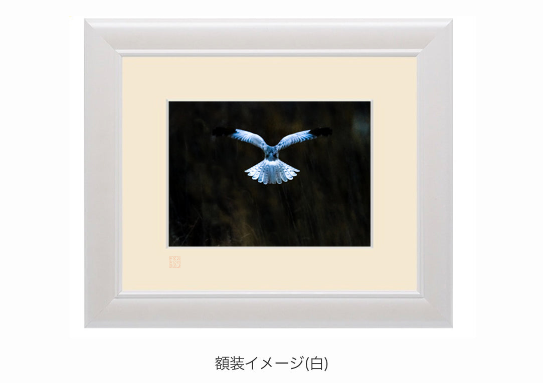 銀色の天使・額装付｜写真家 Kankan