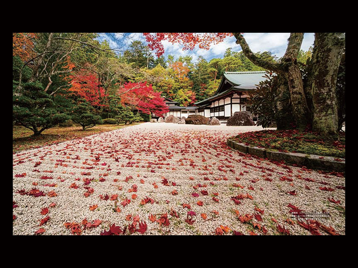 高野山フォトブック ｜金剛峯寺発行｜写真家 Kankan